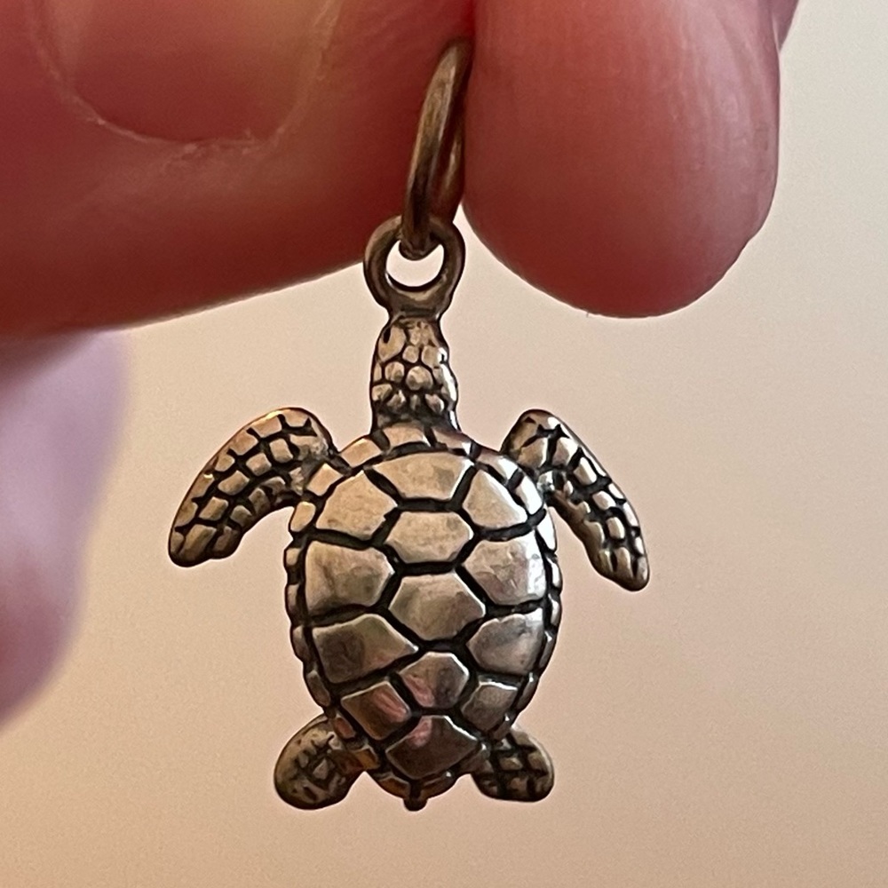Turtle Charm